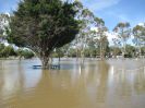 Flood 39